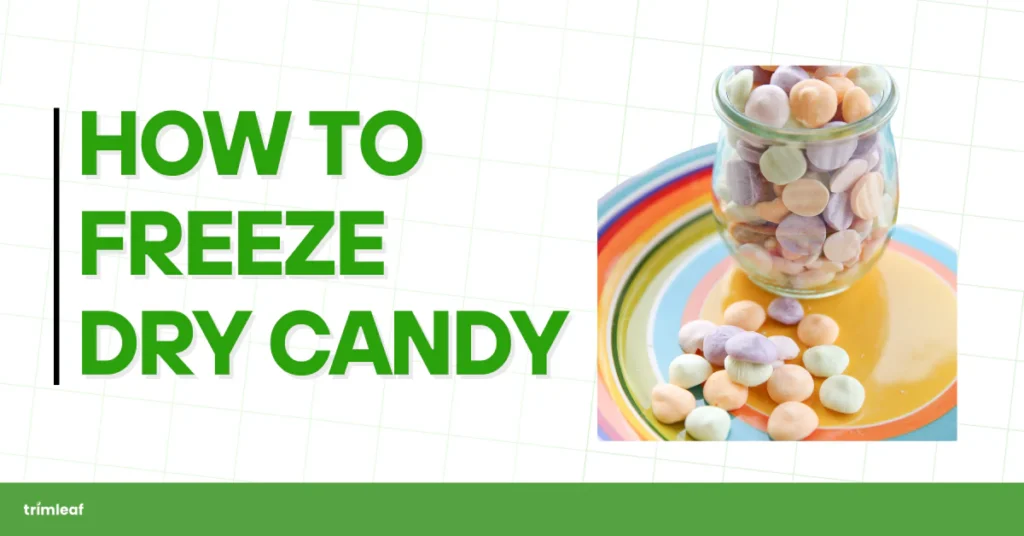 How to Freeze-Dry Candy: A Step-by-Step Guide for Beginners