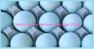 Adams Farmer Heirloom Blue Eggs 12524